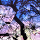 Illustration for article titled This Isn't Stained Glass, It's A Miracle Of Optics